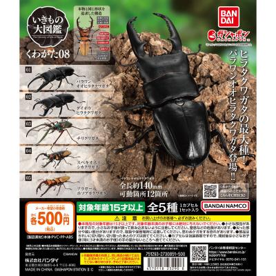 いきもの大図鑑 くわがた08
