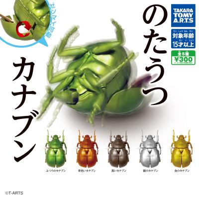 のたうつカナブン