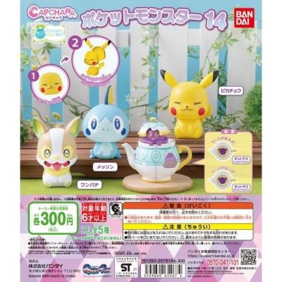 カプキャラ ポケットモンスター14