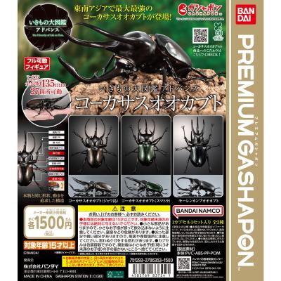 いきもの大図鑑アドバンス コーカサスオオカブト