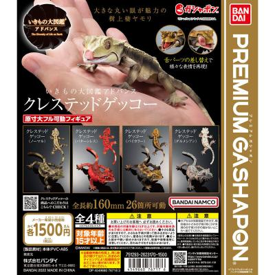 いきもの大図鑑アドバンス クレステッドゲッコー