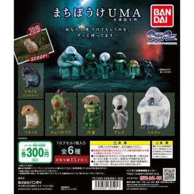 まちぼうけＵＭＡ