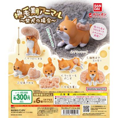 換毛期アニマル ~柴犬の場合~