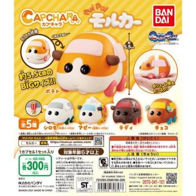 カプキャラ PUI PUI モルカー