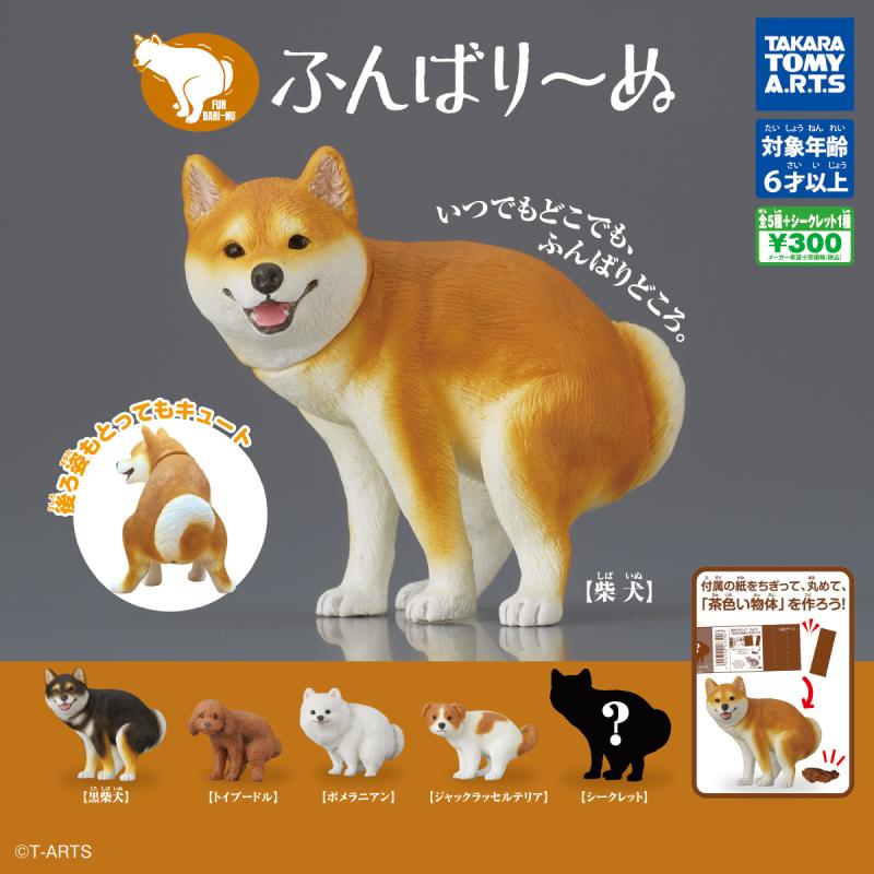 ふんばり～ぬ
