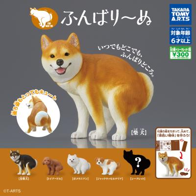 ふんばり~ぬ