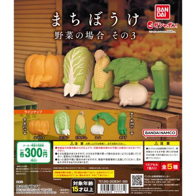 まちぼうけ 野菜の場合 その3