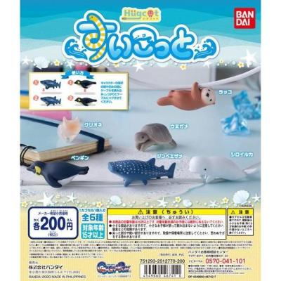 ハグコット すいこっと