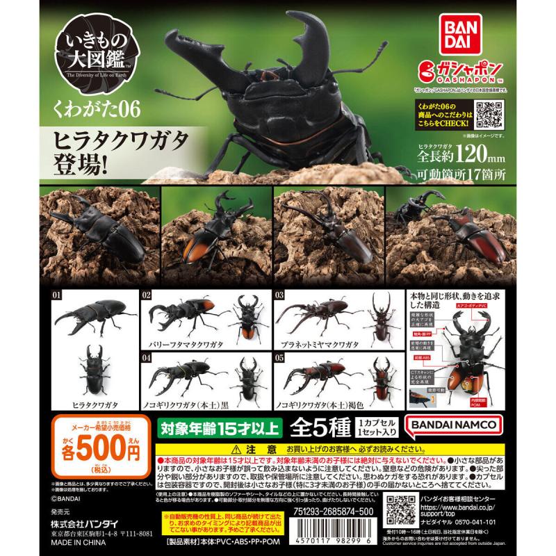 いきもの大図鑑 くわがた06