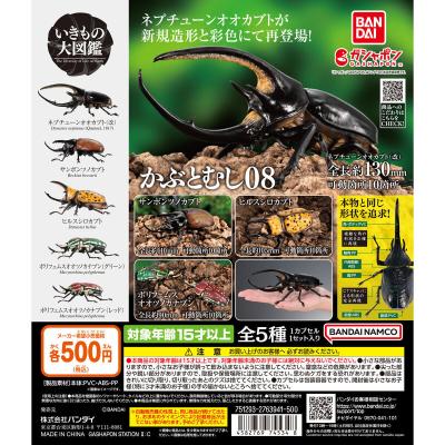 いきもの大図鑑 かぶとむし08