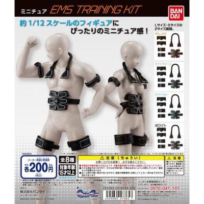 ミニチュア EMS TRAINING KIT
