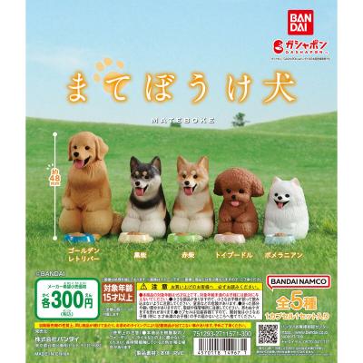 まてぼうけ 犬