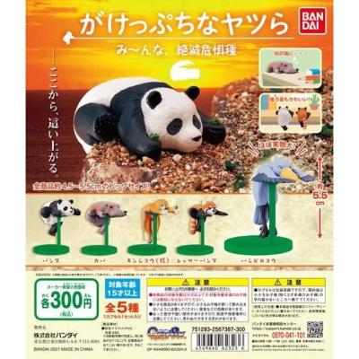 がけっぷちなヤツら