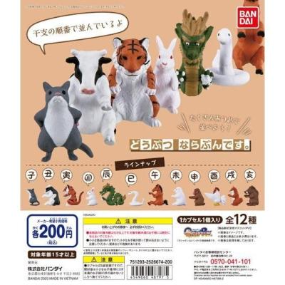 どうぶつ ならぶんです。