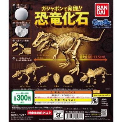 ガシャポンで発掘!!恐竜化石