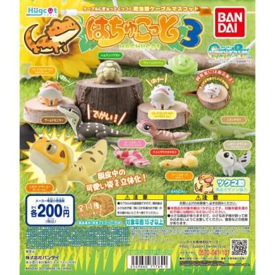 ハグコット はちゅこっと3