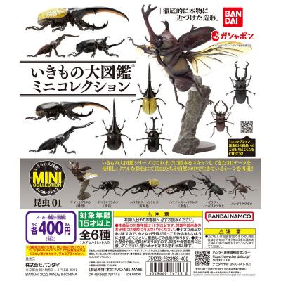 いきもの大図鑑ミニコレクション 昆虫01