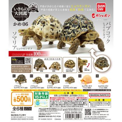 いきもの大図鑑 かめ06