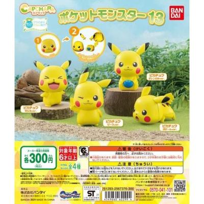 カプキャラ ポケットモンスター13