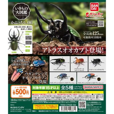 いきもの大図鑑 かぶとむし06
