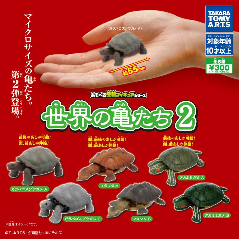 あそべる生物フィギュアシリーズ
世界の亀たち2