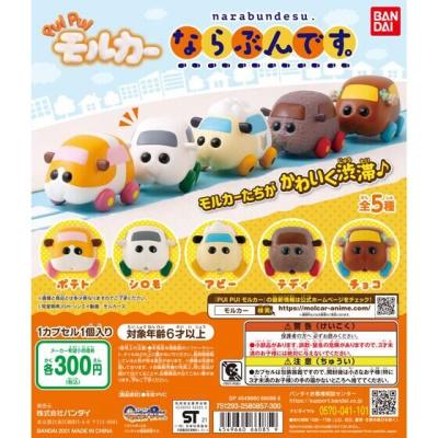 PUI PUI モルカー ならぶんです。