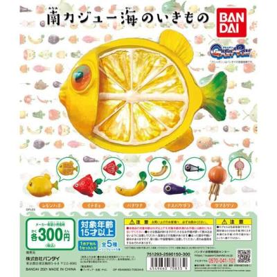 南カジュー海のいきもの