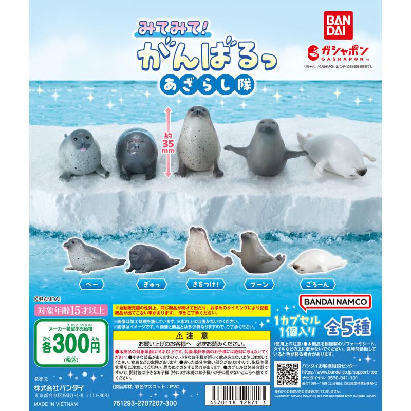 みてみて！がんばるっ あざらし隊