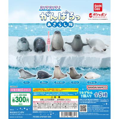 みてみて!がんばるっ あざらし隊