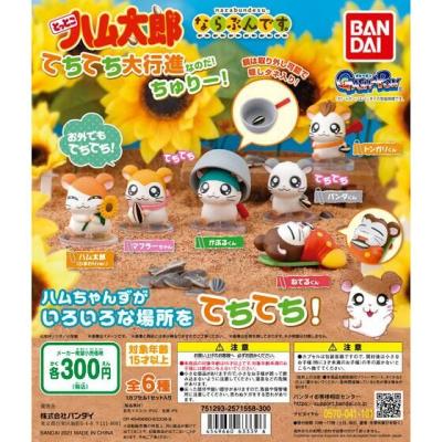 ならぶんです。 とっとこハム太郎 てちてち大行進なのだ!ちゅりー