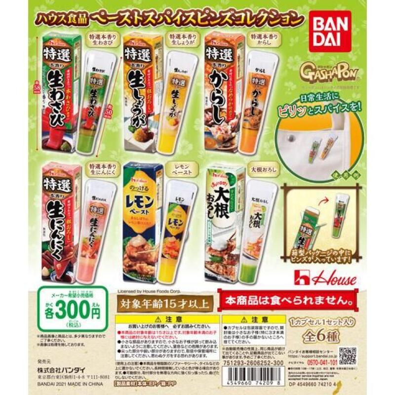 ハウス食品　ペーストスパイスピンズコレクション
