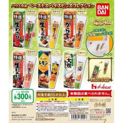ハウス食品 ペーストスパイスピンズコレクション