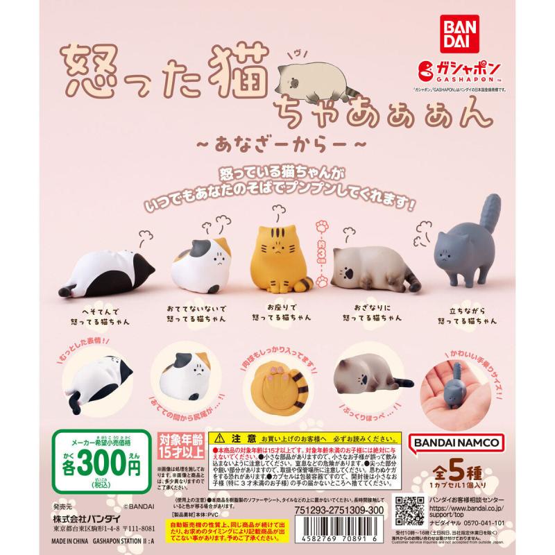 怒った猫ちゃあぁぁん あなざーからー