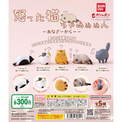 怒った猫ちゃあぁぁん あなざーからー