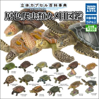 立体カプセル百科事典
原色爬虫類カメ目図鑑
