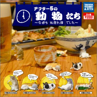 アフター5の動物たち
~今週もお疲れ様でした~