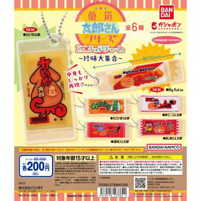菓道 太郎さんシリーズミニチュアチャーム~珍味大集合!~