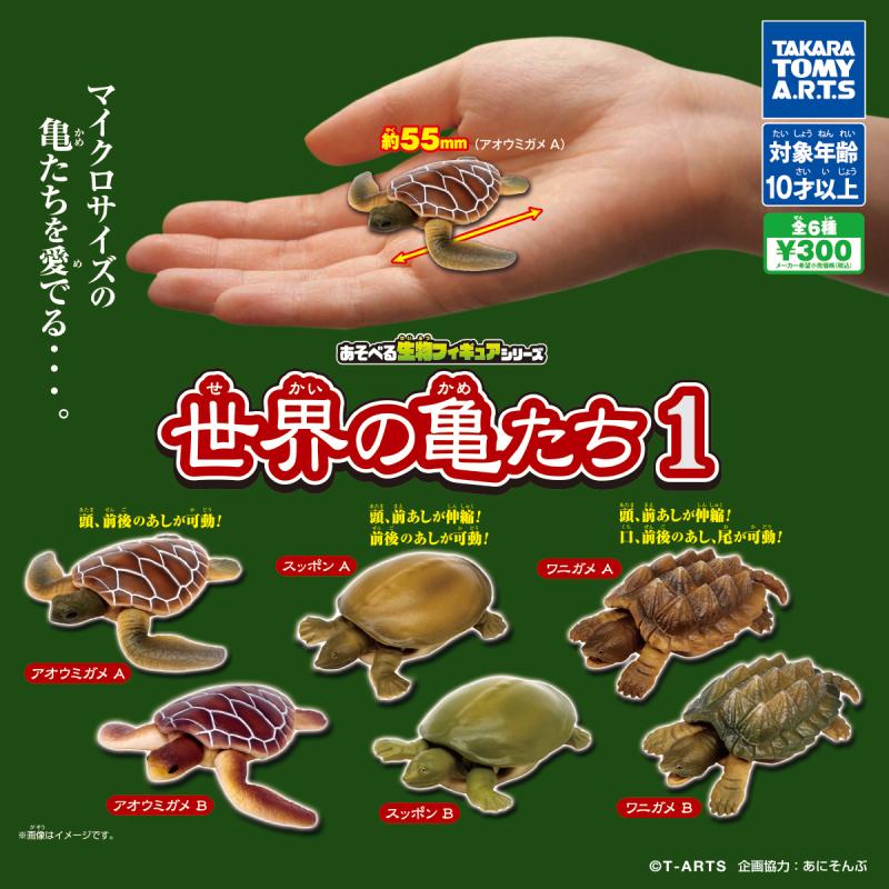 あそべる生物フィギュアシリーズ
世界の亀たち1