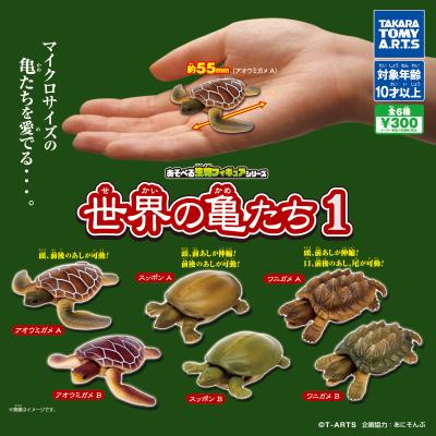あそべる生物フィギュアシリーズ
世界の亀たち1