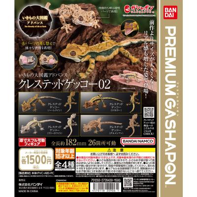 いきもの大図鑑アドバンス クレステッドゲッコー02