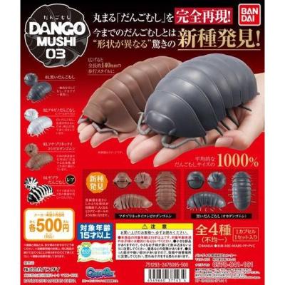だんごむし03 フチゾリネッタイコシビロダンゴムシ編