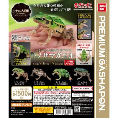 いきもの大図鑑アドバンス トノサマガエル