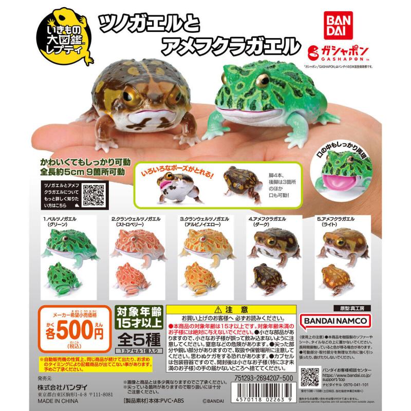 いきもの大図鑑レプティ ツノガエルとアメフクラガエル
