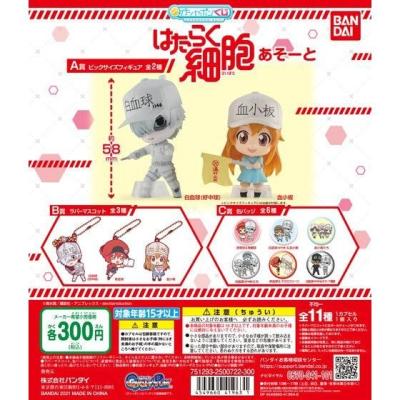 はたらく細胞 あそーと