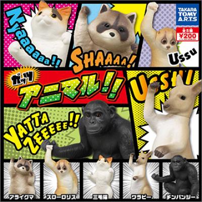 ガッツアニマル!!