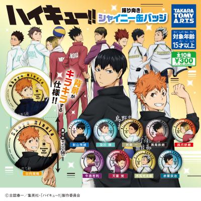 ハイキュー!!
振り向きシャイニー缶バッジ