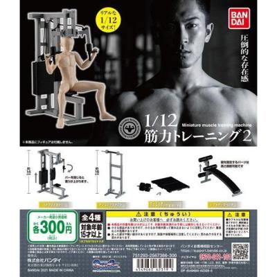 1/12筋力トレーニング2