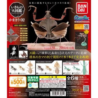 かまきり02
