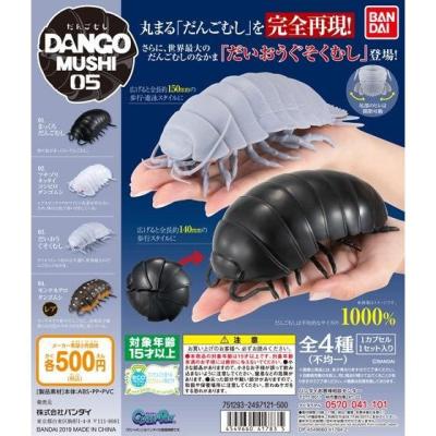 だんごむし05 だんごむしとだいおうぐそくむし