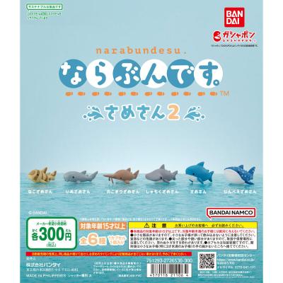 ならぶんです。 さめさん2